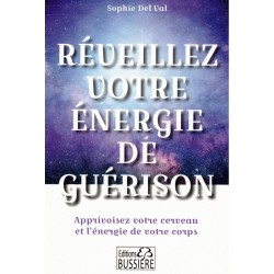 copy of Pierres, minéraux et...
