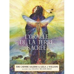 copy of Pierres, minéraux et...