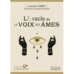 copy of Pierres, minéraux et...