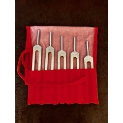 Diapason ASTEROIDES (lot de 5) -...