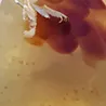 AMBRE