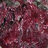 EUDIALYTE